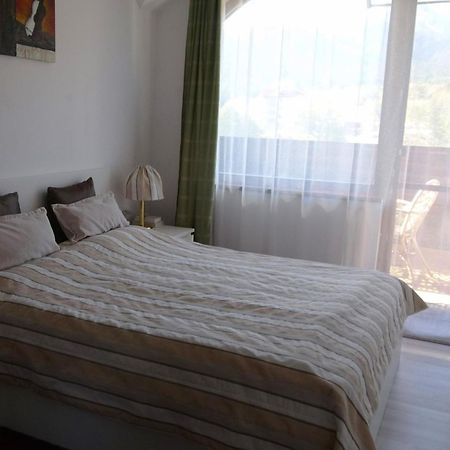 Mountainview Apartment Ski, Spa & Thermal Бансько Екстер'єр фото